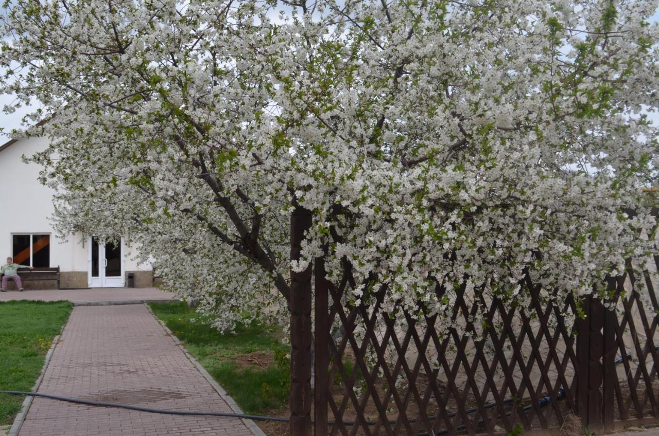 Вилла Усадьба Никольское Nikolskoye  Экстерьер фото